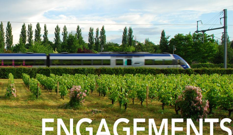 Train traversant un paysage de vignoble